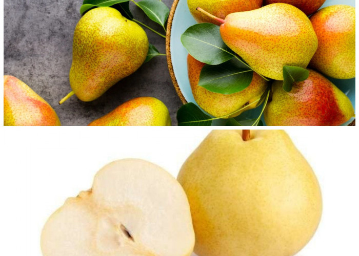 Buah Pir dan Manfaatnya: Nutrisi Alami untuk Jaga Kesehatan Tubuh