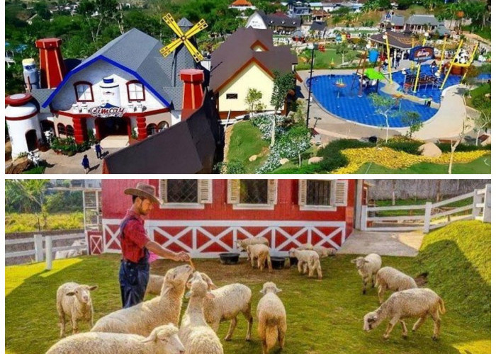 Berkunjung ke Dairyland Farm Theme Park Prigen: Liburan Keluarga yang Menyenangkan dan Penuh Pembelajaran