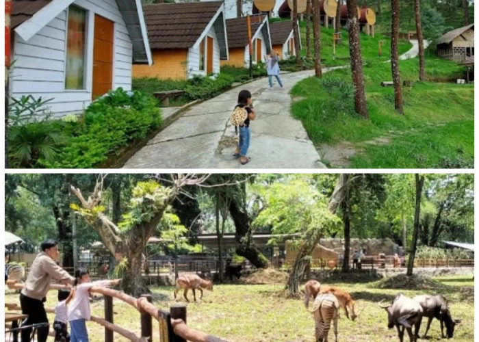 Liburan Keluarga di Kota Solo: 7 Tempat Wisata Seru yang Wajib Dikunjungi Akhir Pekan Ini