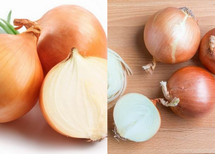 Yuk Cari Tahu! Inilah Manfaat Dari Bawang Bombai bagi Kesehatan Tubuh