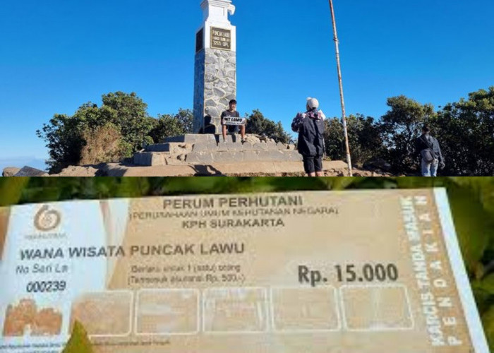 Mau Mendaki Gunung Lawu? Jangan Lupa Cek Harga Tiket dan Tips Pentingnya!