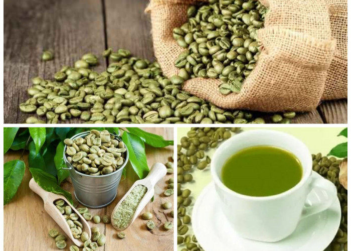 Rahasia Kopi Hijau: Manfaat Mengejutkan dan Risiko yang Perlu Diwaspadai Sebelum Mengonsumsinya!