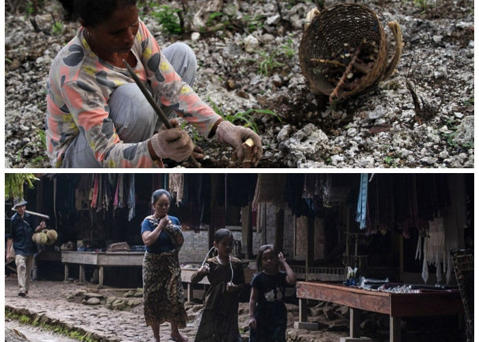 Suku Padoe: Memahami Tradisi dan Kearifan Lokal Pedalaman Sulawesi