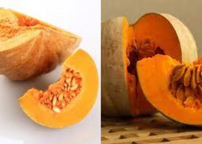 Ini Dia Guys Manfaat Labu Kuning untuk Asam Lambung!