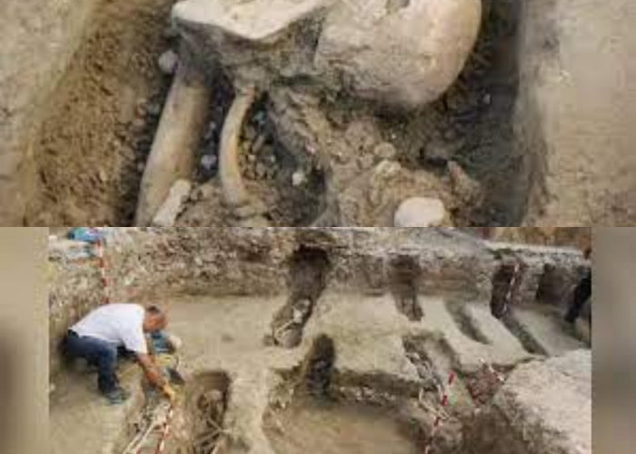 Temukan Kuburan Kuno! Arkeolog Ungkap Sejarah Muslim Spanyol yang Penuh Misteri 