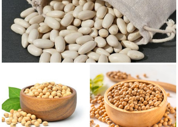 Manfaat dan Khasiat Kacang Lima, Kacang Lembut yang Tinggi Protein!