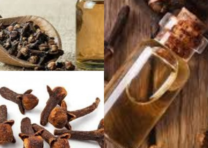 Manfaat Cengkeh untuk Meredakan Sakit Gigi dan Gusi, Lihat di Bawah Ini!