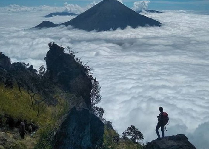 Sindoro, Misteri dan Mitos Dibalik Pesona Keindahan Gunung yang Berselimut 'Pedhut' Kabut