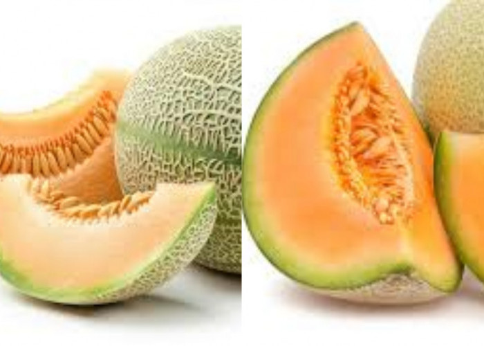 Lihat Disini! Manfaat Dari Buah Lemon Untuk Kesehatan Yang Jarang Diketahui