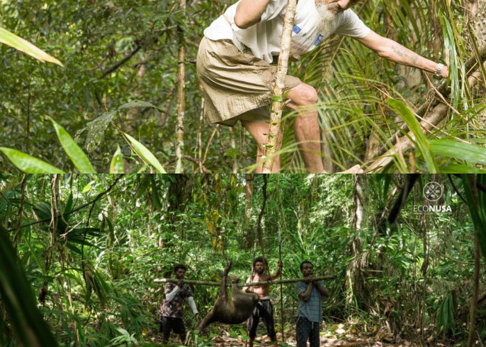 Lari ke Hutan untuk Hindari Pajak dan Kerja Paksa: Apa yang Terjadi pada Suku Limakawatina Sekarang?