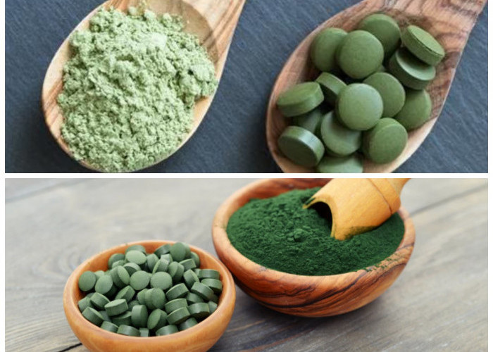 Chlorella, Superfood dari Ganggang Hijau: 8 Manfaat Kesehatan yang Wajib Diketahui
