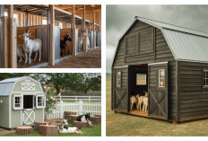 Peternakan Praktis: 11 Desain Kandang Kambing Modern untuk Kesehatan Hewan