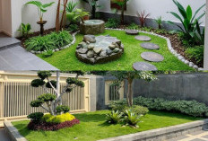 Hunian Minimalis Makin Estetik: 7 Tren Taman Landscape 2026 yang Bikin Udara Rumah Segar dan Mewah