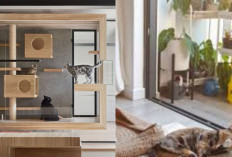 Model Rumah Ramah Hewan Peliharaan yang Tertata Rapi dan Nyaman!