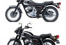 Motor Retro Kawasaki W230 Resmi Meluncur, Tampil Klasik dengan Mesin 233 cc Modern