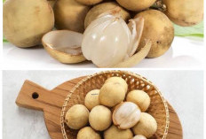 Jangan Remehkan Buah Duku, Ini Segudang Khasiatnya untuk Kesehatan!