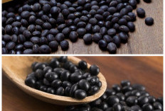 Inilah Khasiat Kedelai Hitam untuk Menjaga Kesehatan Tubuh Secara Alami!