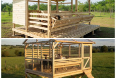 Inspirasi Kandang Kambing Panggung Modern: Mudah Dibersihkan dan Cocok untuk Lahan Terbatas