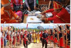 Dari Rawa ke Peradaban: Menguak Kisah Suku Moronene dan Jejak Budaya yang Hampir Hilang