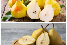 Rahasia Buah Pir: Manis Alami dengan Segudang Manfaat untuk Kesehatan!