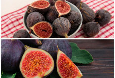 Kaya Nutrisi dan Baik untuk Kesuburan, Ini Tips Mengolah Buah Tin bagi Pasangan yang Sedang Promil