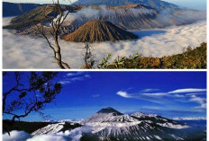 Menyibak Jejak Sejarah Gunung Jaya Wijaya, Puncak Tertinggi Indonesia yang Penuh Misteri!