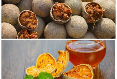 Mengenal Khasiat Buah Kawista: Buah Tradisional Kaya Nutrisi yang Baik untuk Tubuh