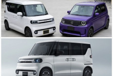 BYD Racco Mulai Menarik Perhatian Pasar Global, Kapan Mobil Listrik Mungil Ini Hadir di Indonesia?
