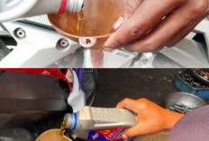 Benarkah Ganti Oli Motor Matik Setiap 1.500 KM Bikin Tarikan Enteng? Cek Faktanya Disini! 