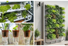 7 Model Kebun Buah Hemat Air: Solusi Efisien untuk Lahan Terbatas