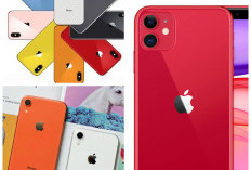 Nggak Harus Seri Terbaru! 5 iPhone Murah Ini Masih Keren dan Layak Dipinang!