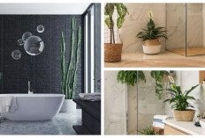 Tetap Hijau Tanpa Matahari: 5 Tanaman Pembersih Udara Paling Tangguh untuk Kamar Mandi