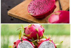 Khasiat Buah Naga untuk Kesehatan, Superfood Kaya Nutrisi yang Baik Dikonsumsi Setiap Hari