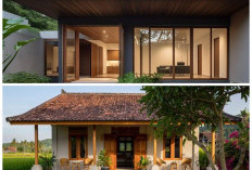 Desain Rumah Kecil Bergaya Slow Living Ini Cocok untuk Hidup Lebih Santai dan Berkualitas
