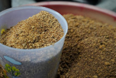 Reforma Agraria Menumbuhkan Harapan Baru Petani Gula Semut di Lereng Menoreh