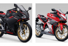 Harga Rp100 Jutaan, KTM Duke 390 Punya Teknologi Motor Balap dan Tenaga Buas, Ini Spesifikasinya