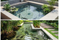 9 Inspirasi Kolam Lele yang Juga Berfungsi sebagai Taman Air, Cantik dan Fungsional