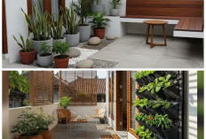 Oase Hijau di Lahan Sempit! 9 Ide Teras Minimalis Tanpa Halaman yang Memaksimalkan Kebun Pot