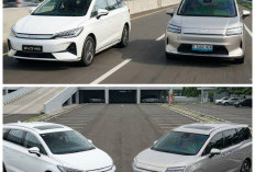 Wuling Cortez Darion EV atau BYD M6? Ini Perbandingan Biaya Perawatan yang Perlu Diketahui Sebelum Membeli