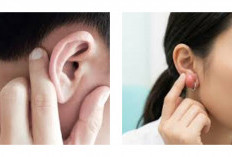 Benjolan di Daun Telinga: Penyebab dan Cara Mengatasinya
