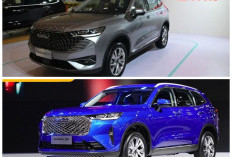 Mengintip Haval H6 Hybrid 2026: SUV Anyar dengan Teknologi Smart dan Performa Menggigit!