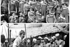 Jejak Suku Bugis: Kisah Sejarah, Budaya Unik, dan Tradisi Perantauan yang Menginspirasi!