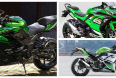 Ninja 300 Siap Mengaspal di Indonesia, Intip Teknologi dan Fitur Unggulannya!