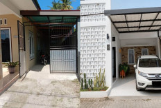 Garasi Samping Rumah: Pilihan Model Modern untuk Hunian Anda!