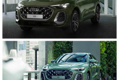 Resmi Mengaspal di Indonesia! Audi Q5 Sportback Terbaru Tawarkan Desain Eksotis dan Kabin Super Mewah