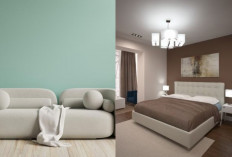 Inspirasi Warna Cat Tahun 2026, Pilihan Rona Hangat dan Netral yang Menenangkan!