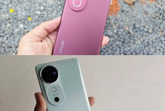 Review vivo V50: Peningkatan Signifikan dari Seri V40, Intip Spesifikasi Lengkap dan Harganya