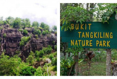 Legenda Bukit Tangkiling: Tragedi Cinta yang Menjadi Peringatan