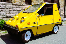 Sebring-Vanguard CitiCar, Mobil Listrik Sederhana Dengan Desain Kartun