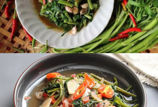 Kangkung Dimakan Setiap Hari: Manfaat dan Efek Samping yang Perlu Diketahui